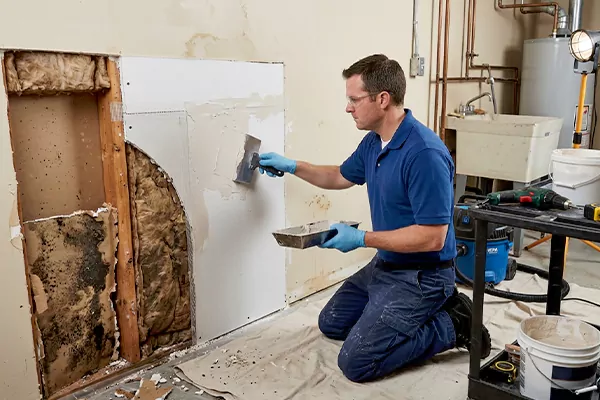 Mold and Drywall Repair Bountiful