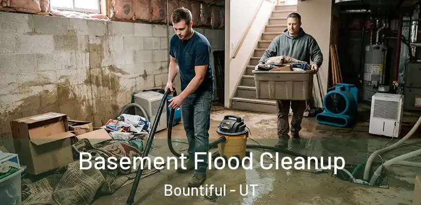  Basement Flood Cleanup Bountiful - UT