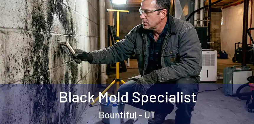 Black Mold Specialist Bountiful - UT