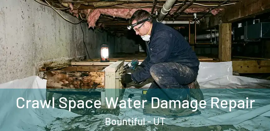 Crawl Space Water Damage Repair Bountiful - UT