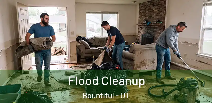  Flood Cleanup Bountiful - UT