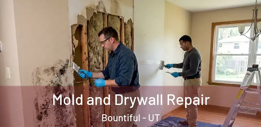 Mold and Drywall Repair Bountiful - UT