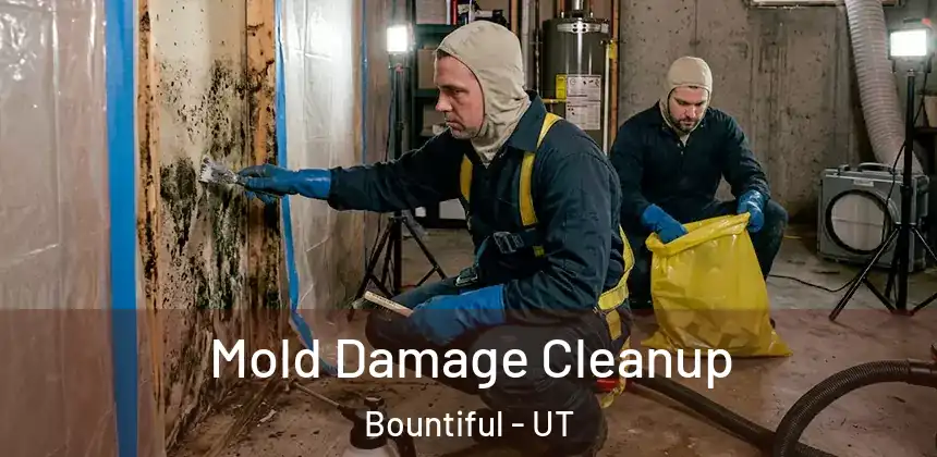  Mold Damage Cleanup Bountiful - UT