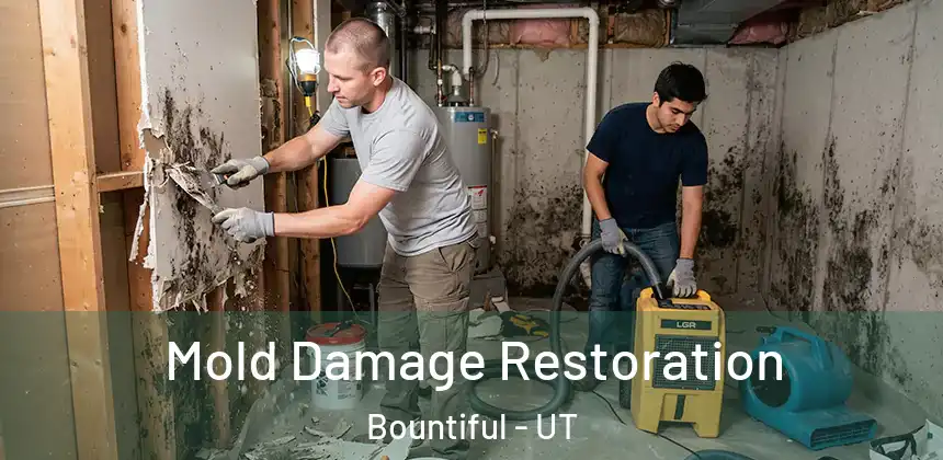  Mold Damage Restoration Bountiful - UT
