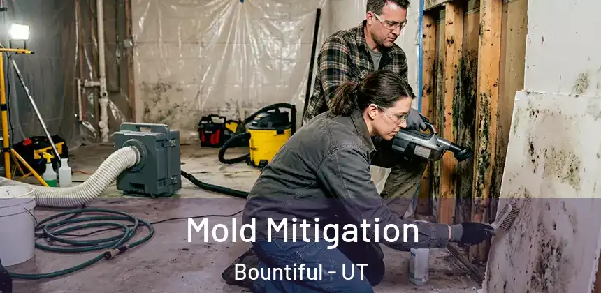  Mold Mitigation Bountiful - UT