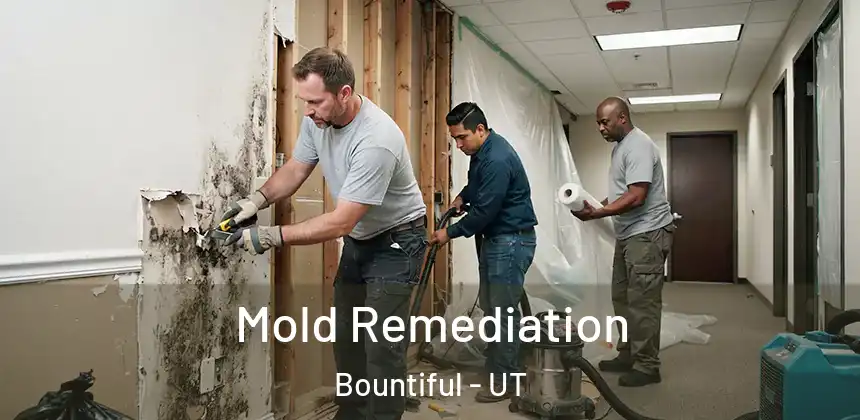  Mold Remediation Bountiful - UT
