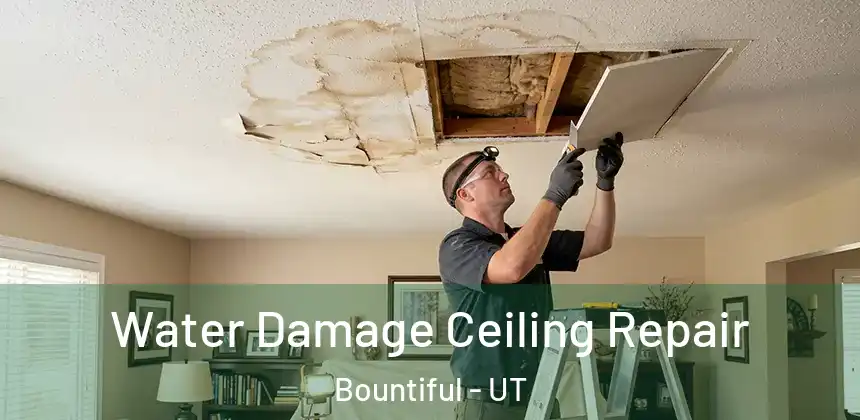  Water Damage Ceiling Repair Bountiful - UT