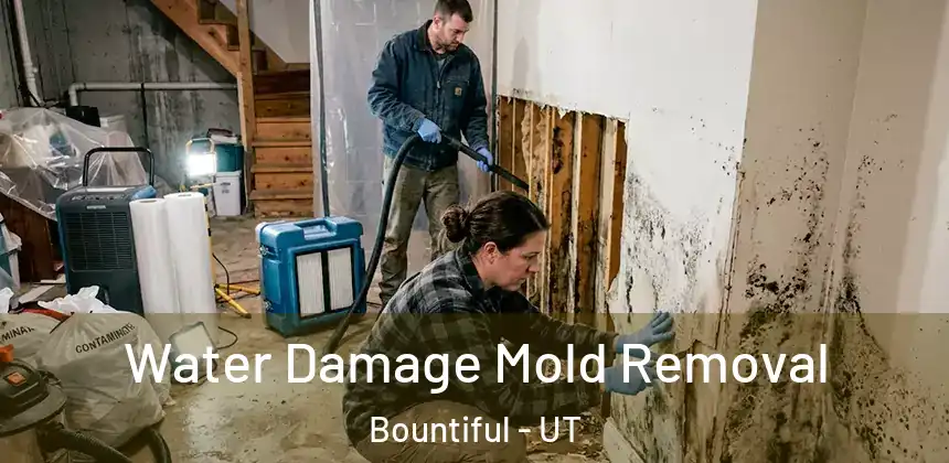  Water Damage Mold Removal Bountiful - UT