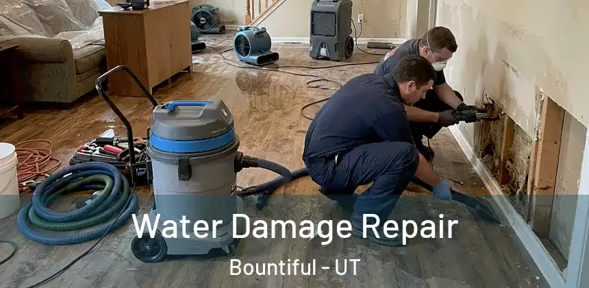  Water Damage Repair Bountiful - UT