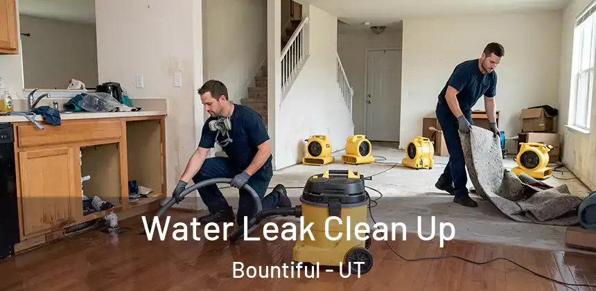 Water Leak Clean Up Bountiful - UT