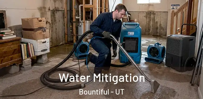  Water Mitigation Bountiful - UT