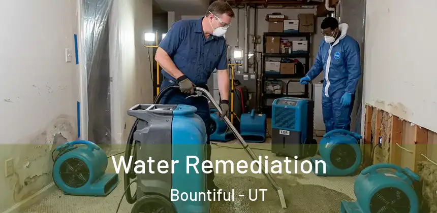  Water Remediation Bountiful - UT