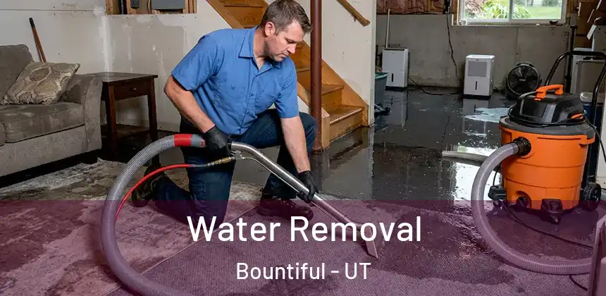  Water Removal Bountiful - UT