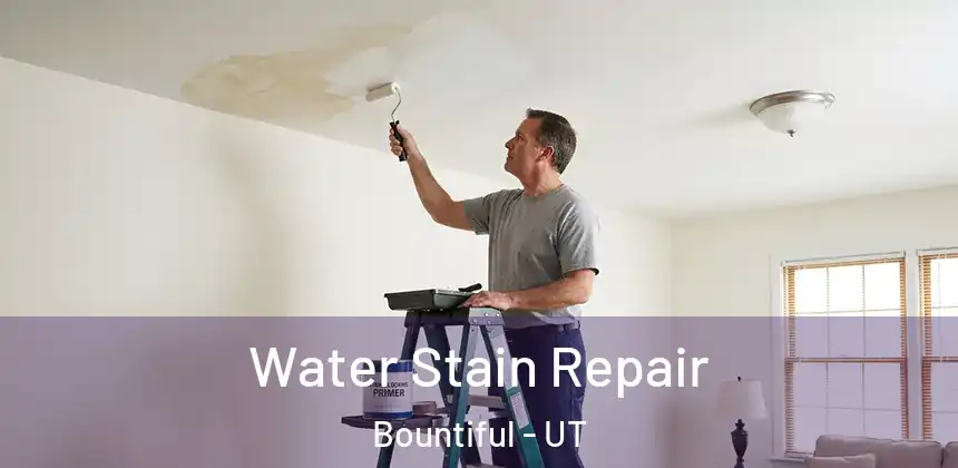 Water Stain Repair Bountiful - UT